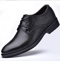 Dario - Men's Pointed-Toe Lace-Up Shoes